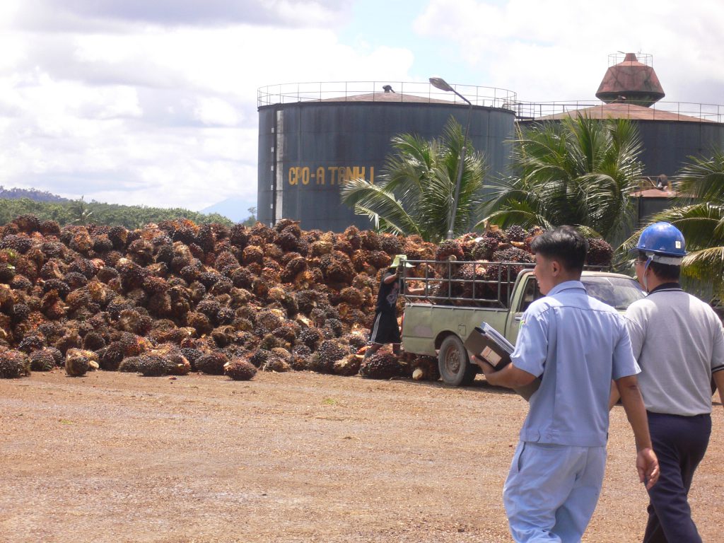 03-ffb-on-ramp-energy-fr-biomass